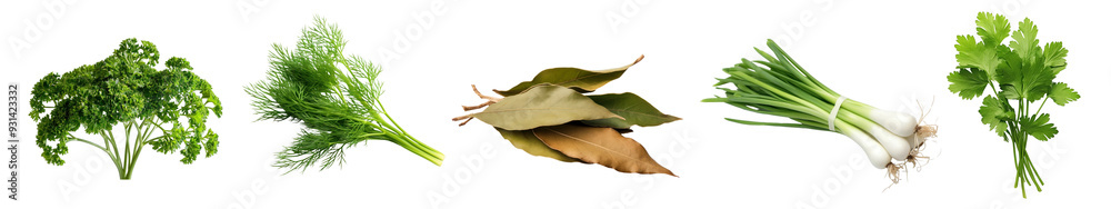 green herb png cut out element set green herb png cut out element set