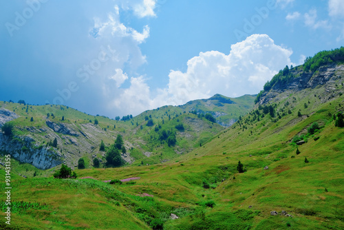 protected meadows in northern Montenegro, green hills and blue skies and white clouds