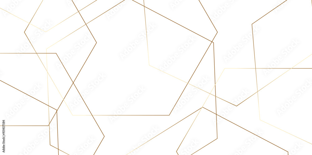Abstract white background with hexagons . golden Hexagonal Background Luxury White Pattern seamless bright white abstract honeycomb background 3D Futuristic abstract geometric mesh cell texture. Abstract white background with hexagons . golden Hexagonal Background Luxury White Pattern seamless bright white abstract honeycomb background 3D Futuristic abstract geometric mesh cell texture.