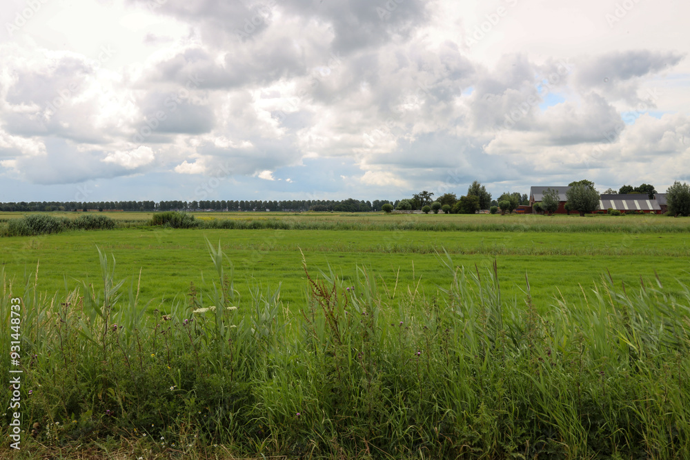Meadows where future new village to be built by Zuidplas municipality in Zuidplaspolder Meadows where future new village to be built by Zuidplas municipality in Zuidplaspolder