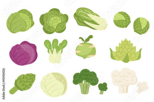 Set of assorted leafy vegetables including cabbage and lettuce. Different types of cabbages. Vector illustration isolated on white background
