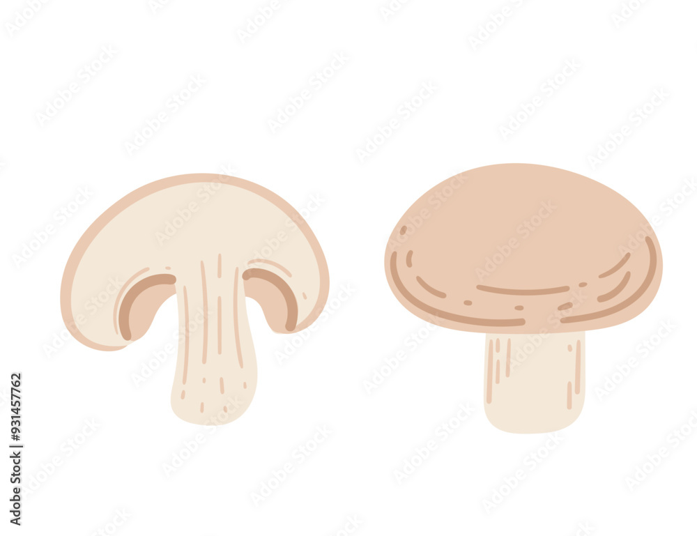 Fototapeta premium Champignon mushrooms. Perfect for recipes, vegetarian food content, and culinary designs. Vector illustration isolated on white background