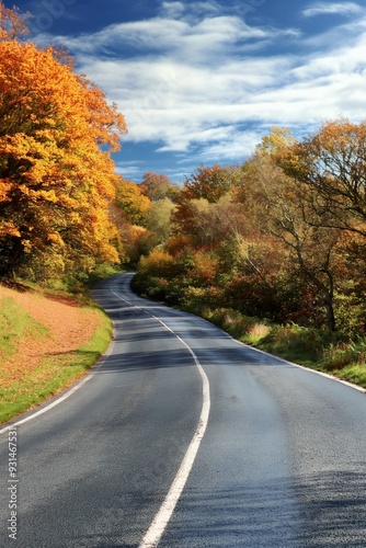 A curvy highway through autumnal woods with vibrant foliage and rural scenery.