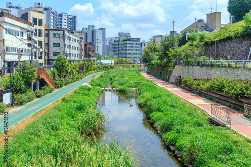 Photography 서울시 성북구 성북천의 여름