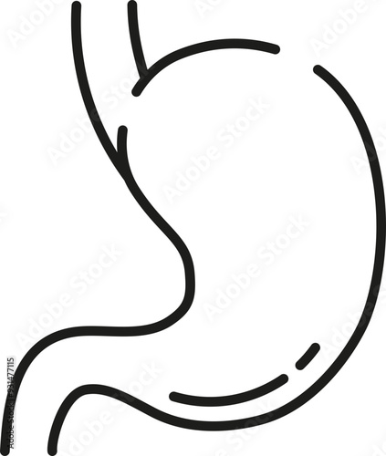 Stomach icon. Linear style. Gastric symbol.
