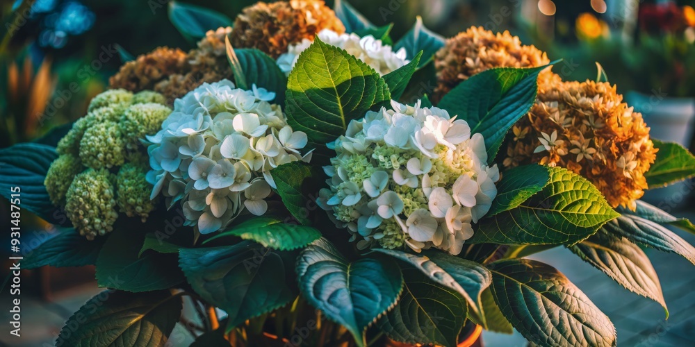 Delicate soft petals of white hydrangea flowers arranged in a beautiful bouquet, filled with lush greenery, creating a serene and elegant still life composition. Delicate soft petals of white hydrangea flowers arranged in a beautiful bouquet, filled with lush greenery, creating a serene and elegant still life composition.