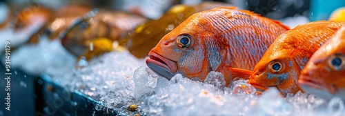 Three red fish are in a display case with ice. The fish are in a row and are all facing the same direction