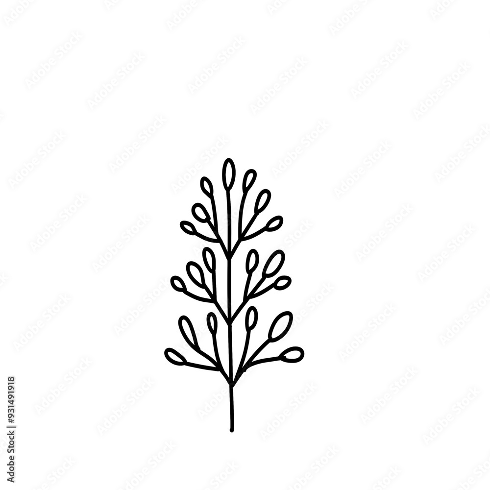Plant Plant