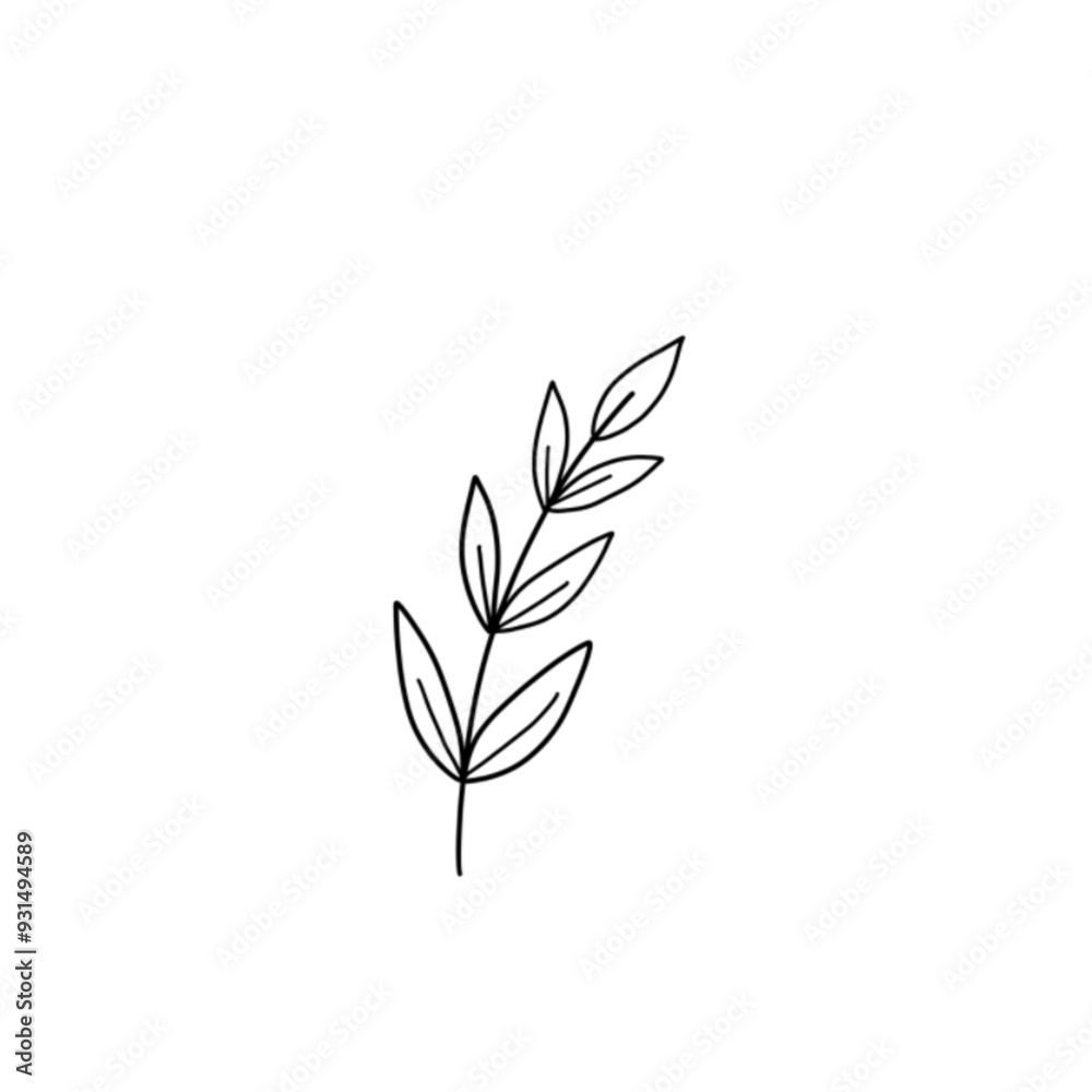 Fototapeta premium Leaf