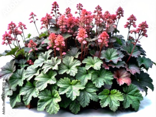 Vibrant coral bells flowers piled high in a heap, showcasing delicate bell-shaped blooms and intricate foliage, isolated on a transparent background with hyperrealistic detail. photo