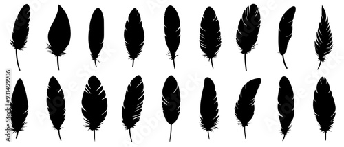 Set of bird feathers isolated on white background. Vintage pen icon. Feathers vector set in flat style. Black feather silhouette.