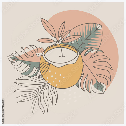 Coconut Fruit Vector Illustration