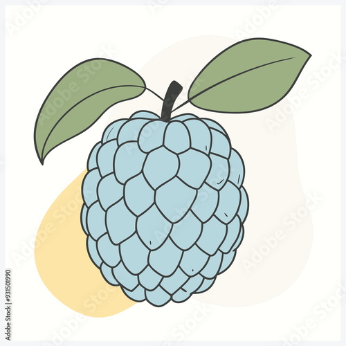 Custard Apple Fruit Vector Illustration High-Quality Digital Art of Custard-Apple for Design and Print.
