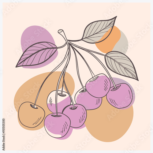 Vibrant Cherries Prunus Fruit Vector Illustration, Perfect for Your Design Needs