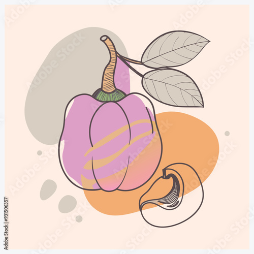 Stunning Cashew Apple Fruit Vector Illustration