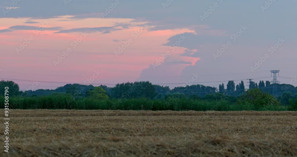 Pink and purple coloured clouds over forest and wheat lands during golden hour sunset Pink and purple coloured clouds over forest and wheat lands during golden hour sunset