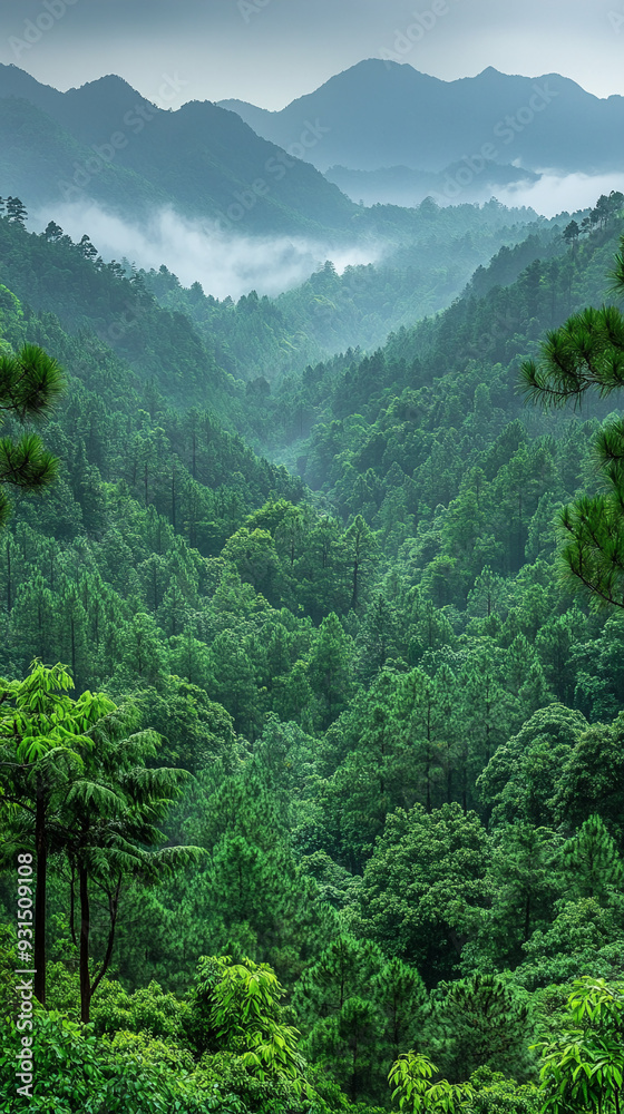 Fototapeta premium beautiful vertical wallpapers and screensavers for smartphone