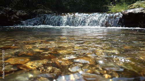 Crystal Clear Stream