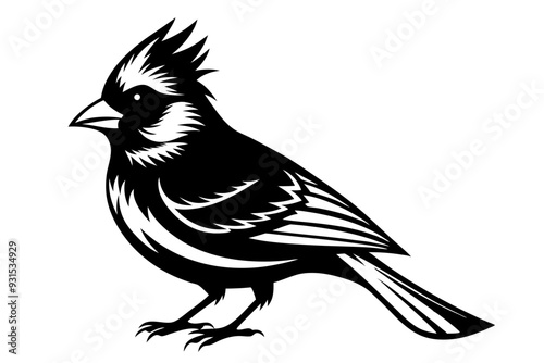 Cardinal silhouette vector illustration