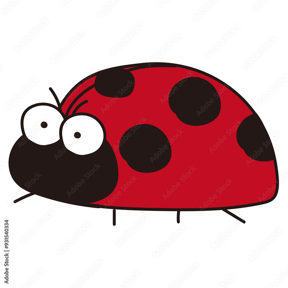 Fototapeta premium てんとう虫 