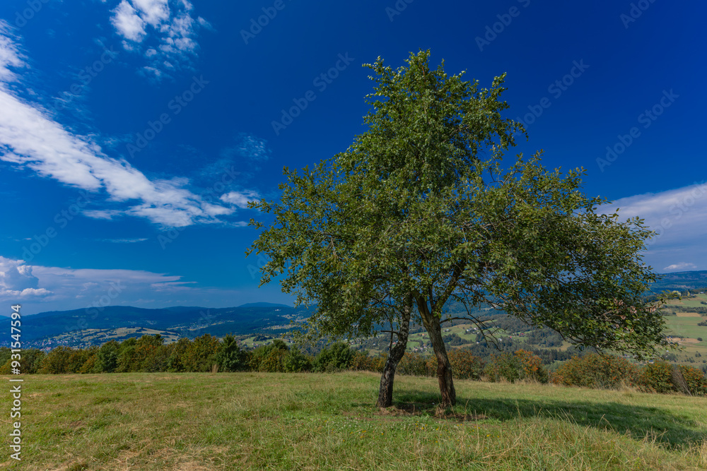 Koniaków landscape, Ochodzita Mountain, Silesian Beskids Koniaków landscape, Ochodzita Mountain, Silesian Beskids