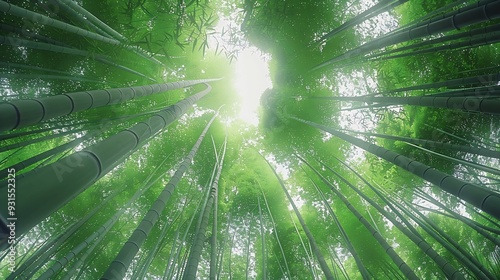 Bamboo forest at Arashiyama Looking up to sky Kyoto Japan nature Sagano Bamboo Grove of Arashiyama : Generative AI photo