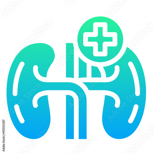Kidney Icon