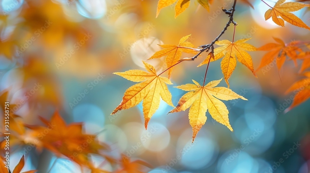 Colorful leaves in autumn park Japan : Generative AI Colorful leaves in autumn park Japan : Generative AI