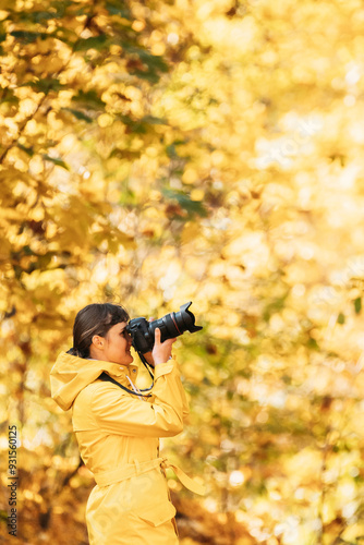 Aurlandsfjellet, Norway. Young Woman Tourist Photographer Taking Pictures Photos Of Autumn Yellow Forest Park. Lady Walking In Fall Park With Yellow Foliage photo