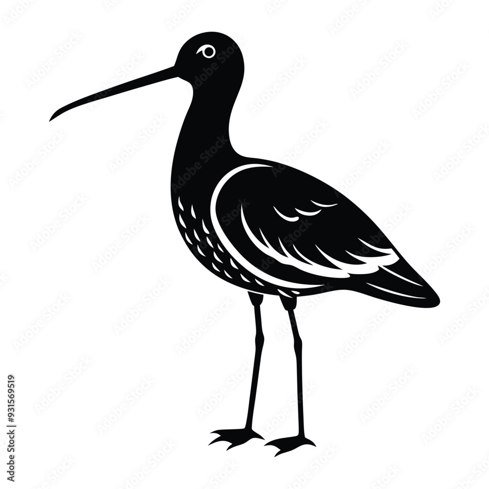 Obraz premium Snipe Bird Vector Images, dowitcher bird silhouette