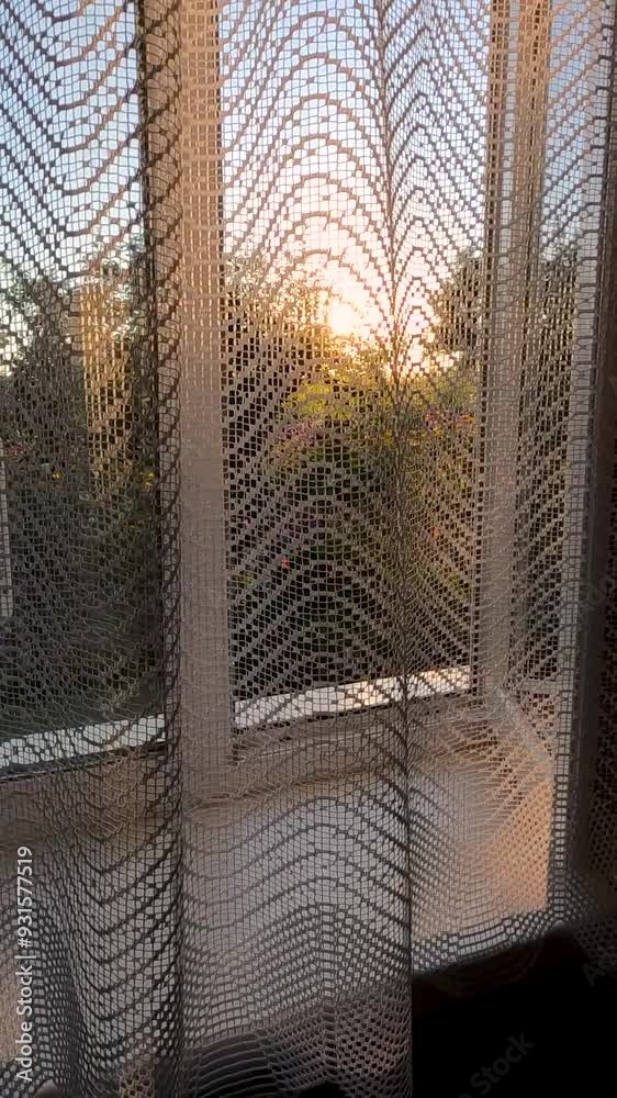sunset in the window. view from the window to the garden. sunset outside the window in a blooming garden