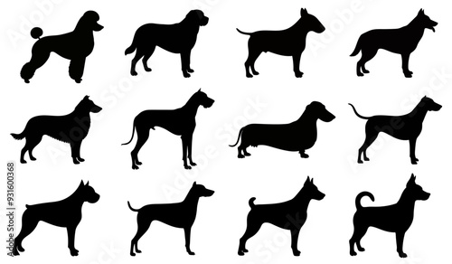 Different Dog Breeds silhouette vectors. isolated on white background.