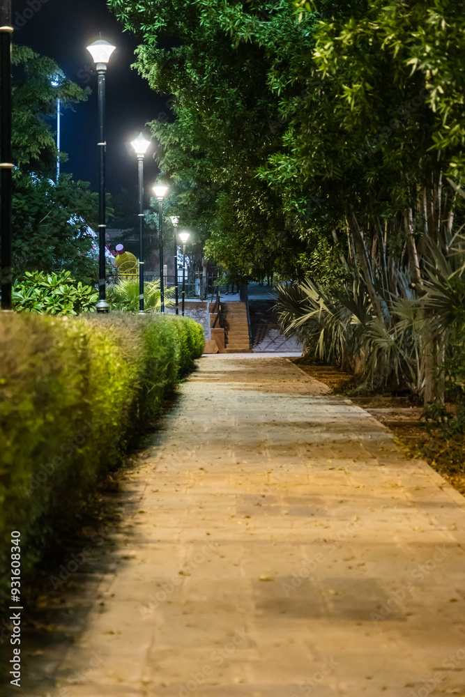 street walking path with tree at evening from low angle street walking path with tree at evening from low angle