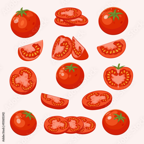 Raw realistic ripe red tomato, whole and slice set. Stock vector art isolated on white background.