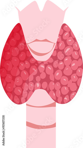 Thyroid disease Illustration 