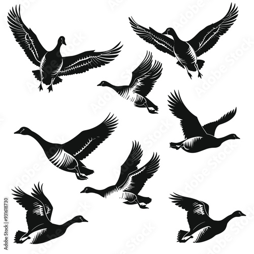 Silhouette illustrations of geese in various flying positions against a white background.