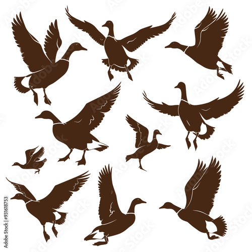 Silhouettes of geese in various flying and standing positions on a white background.