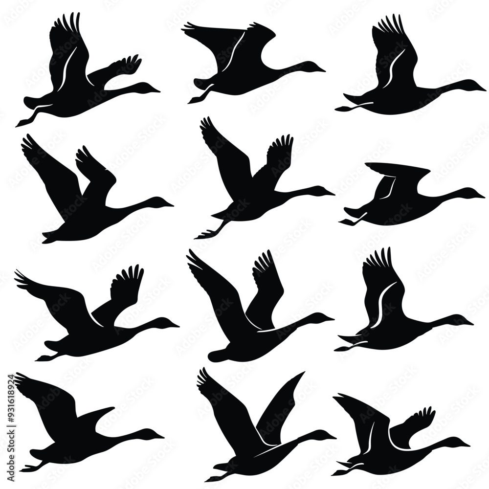 Silhouettes of various birds in flight against a white background. Silhouettes of various birds in flight against a white background.
