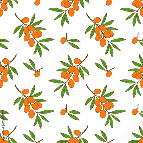 Pattern sea buckthorn branches with ripe orange berries on white background. Vector illustration