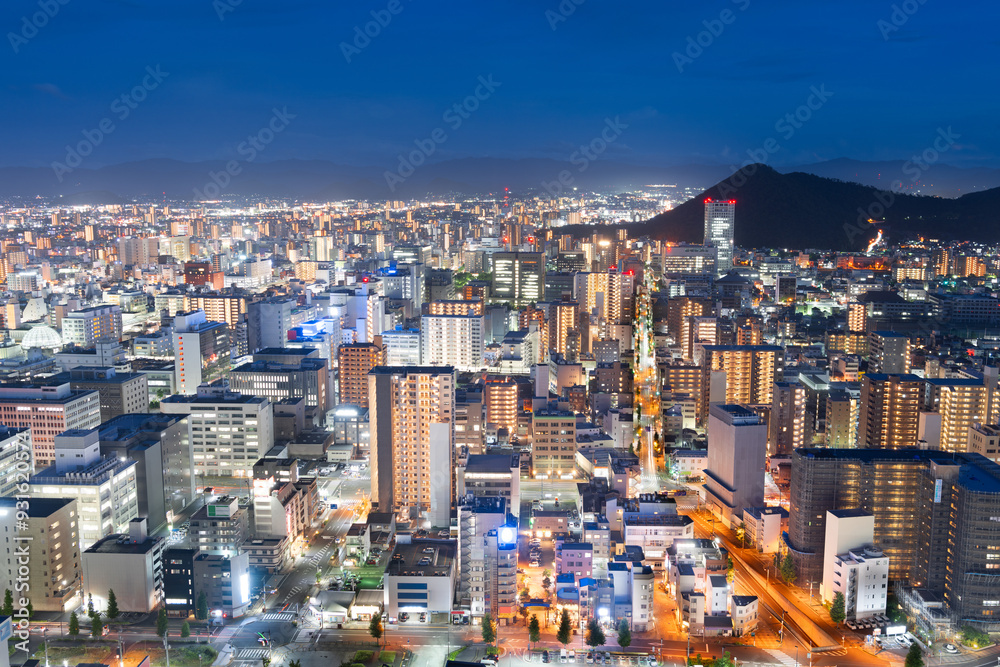 Obraz premium Takamatsu, Japan downtown city skyline at blue hour from above.