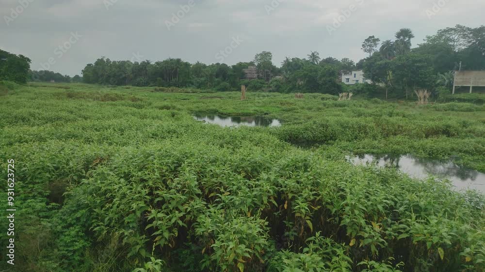 Nature, in the broadest sense, is the natural, physical, or material world or universe. Nature, in the broadest sense, is the natural, physical, or material world or universe.