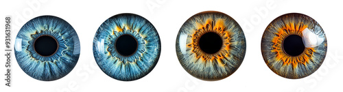 Colorful human irises in macro view high detail eye anatomy study transparent background