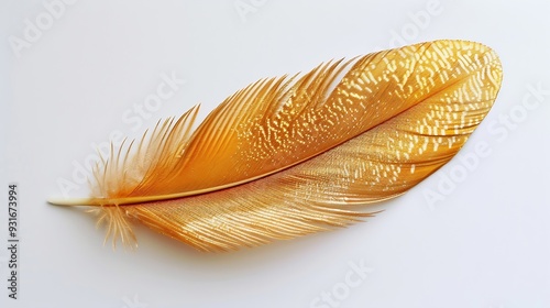 Shiny stylish golden feather on white background top view : Generative AI