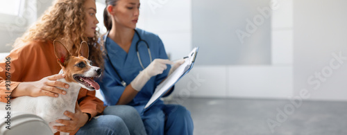 Attentive vet takes clinical notes while a pet owner lovingly strokes her happy Jack Russell Terrier at a routine vet appointment in a bright clinic, copy space