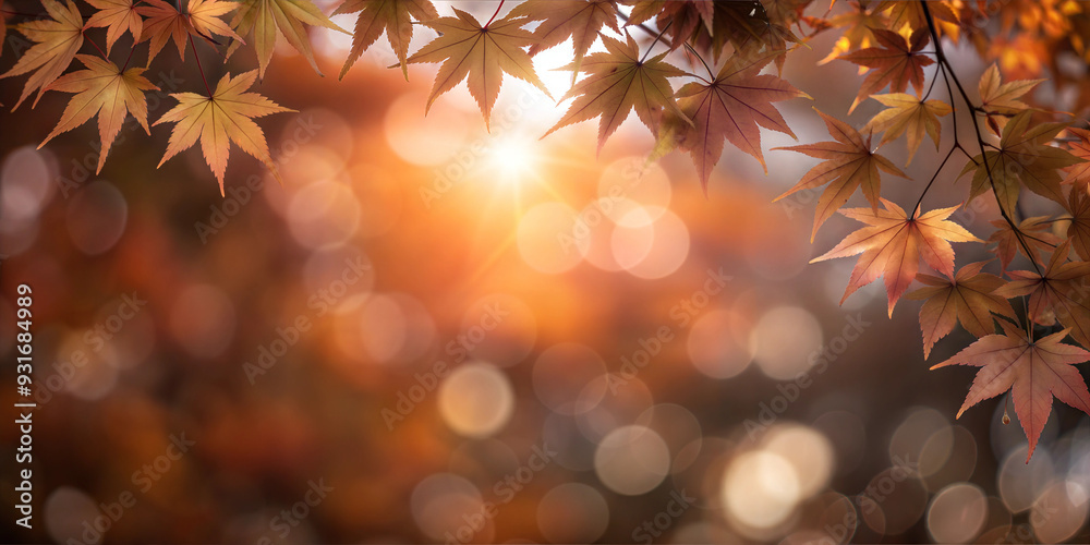Fototapeta premium Autumn maple leaves in warm golden hues illuminated by soft sunlight against blurred background with copy space