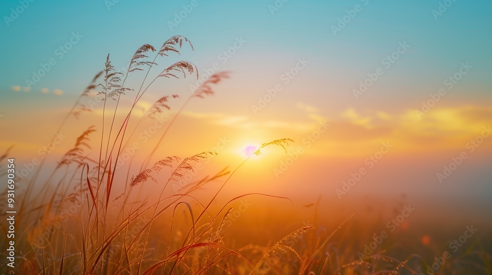 Free good morning scene wallpaper background photo Free good morning scene wallpaper background photo
