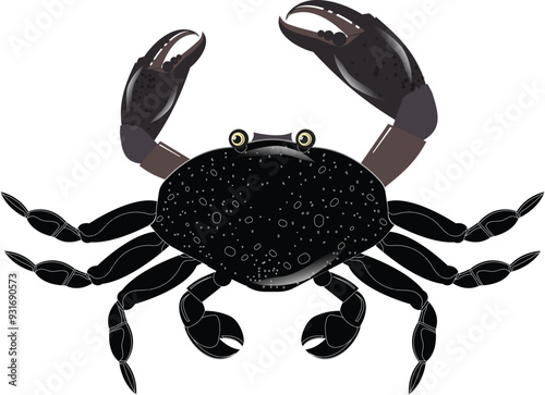 crab on white background