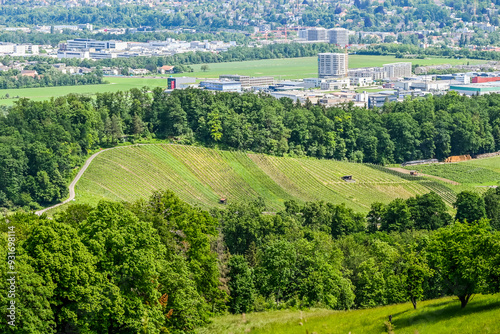 Aesch, Klus, Weinberge, Rebbergweg, Pfeffingen, Birseck, Baselland, Wanderweg, Landwirtschaft, Felder, Aussichtspunkt, Sommer, Schweiz, Nordwestschweiz photo