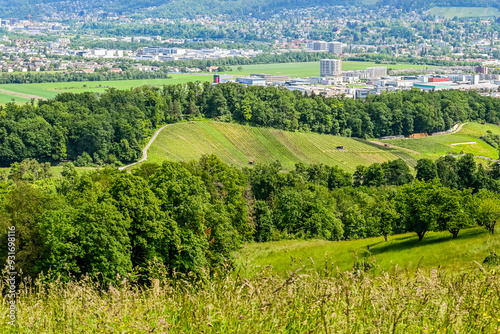 Aesch, Klus, Weinberge, Rebbergweg, Pfeffingen, Birseck, Baselland, Wanderweg, Landwirtschaft, Felder, Aussichtspunkt, Sommer, Schweiz, Nordwestschweiz photo