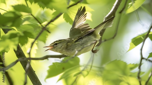 Warbler flitting through the trees its quick movements and soft calls filling the air photo